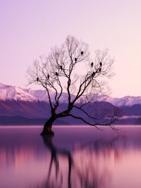 三幅图讲明白趋势交易究竟是怎么回事！——精髓在于你一直在“跟”!