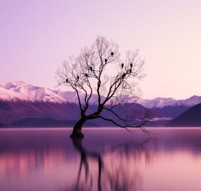 三幅图讲明白趋势交易究竟是怎么回事！——精髓在于你一直在“跟”!